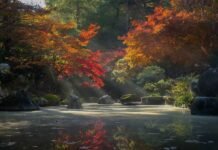 New Strategies in Reviving Tropical Rainforests