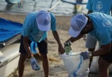 Migratory Patterns of Canopy-Dwelling Birds