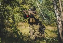 From Melting Glaciers to Growing Forests